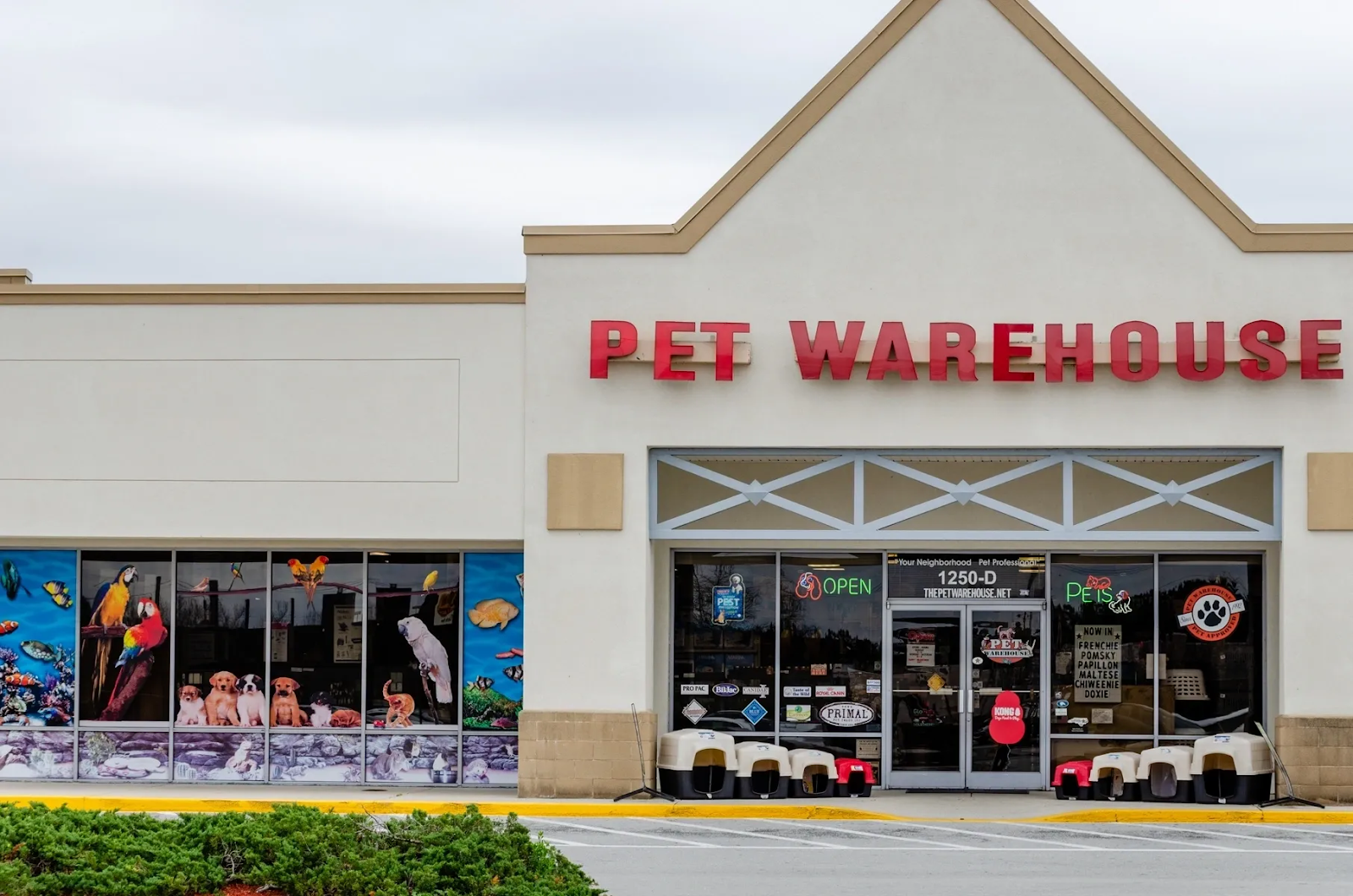 20 Top Online Selling Sites Philippines, Do Business Now! Ginee