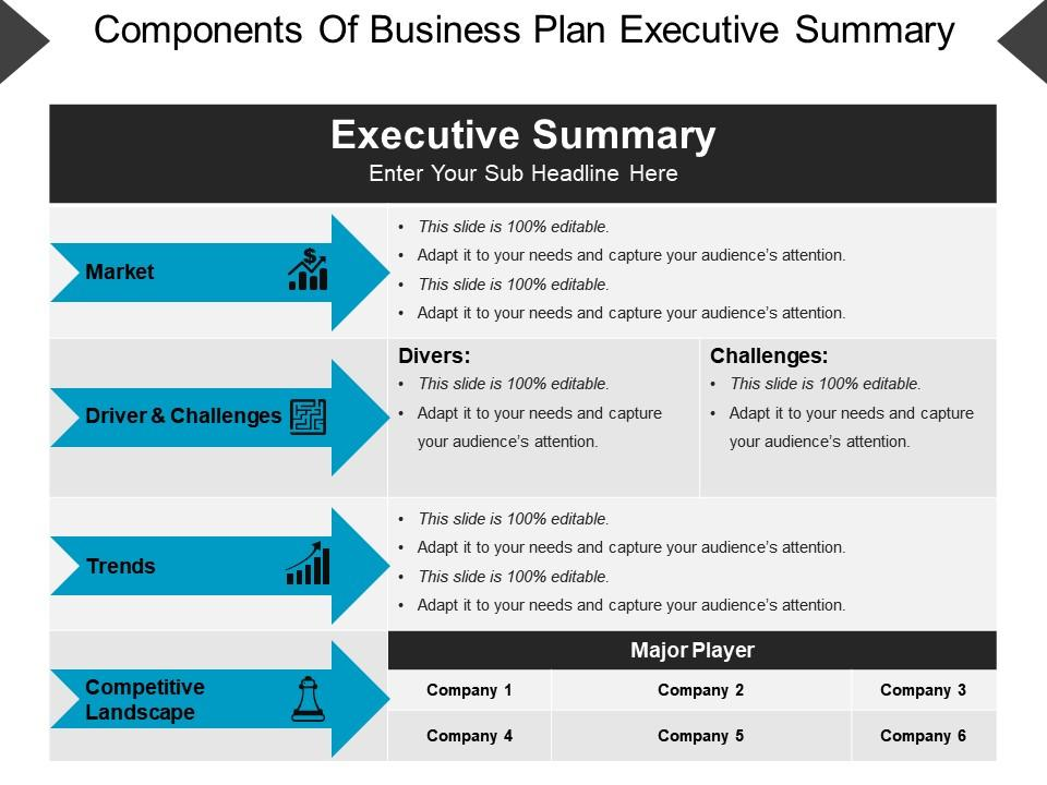 example of executive summary for business plan doc