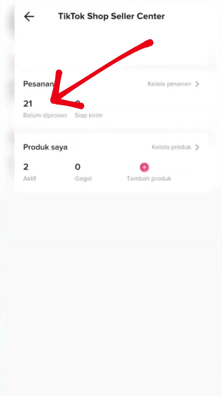 Cara Proses Pengiriman Pesanan TikTok Shop, Gak Pake Ribet! - Ginee