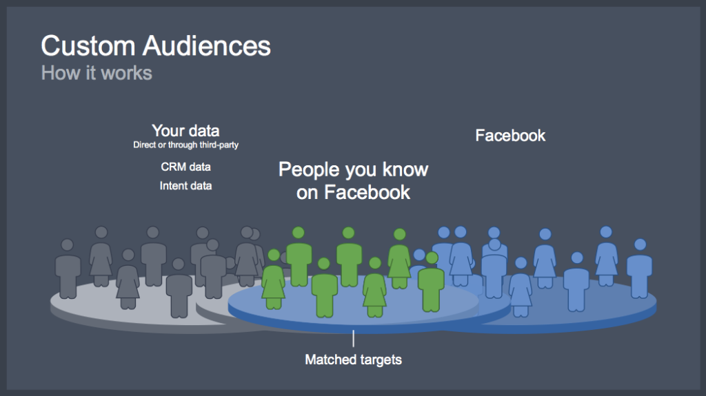 custom audience facebook ads